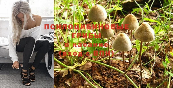 PSILOCYBIN Алексин