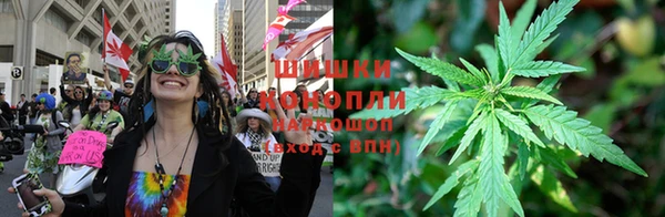 мяу мяу мука Алзамай